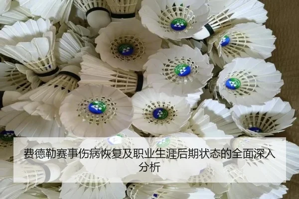 费德勒赛事伤病恢复及职业生涯后期状态的全面深入分析